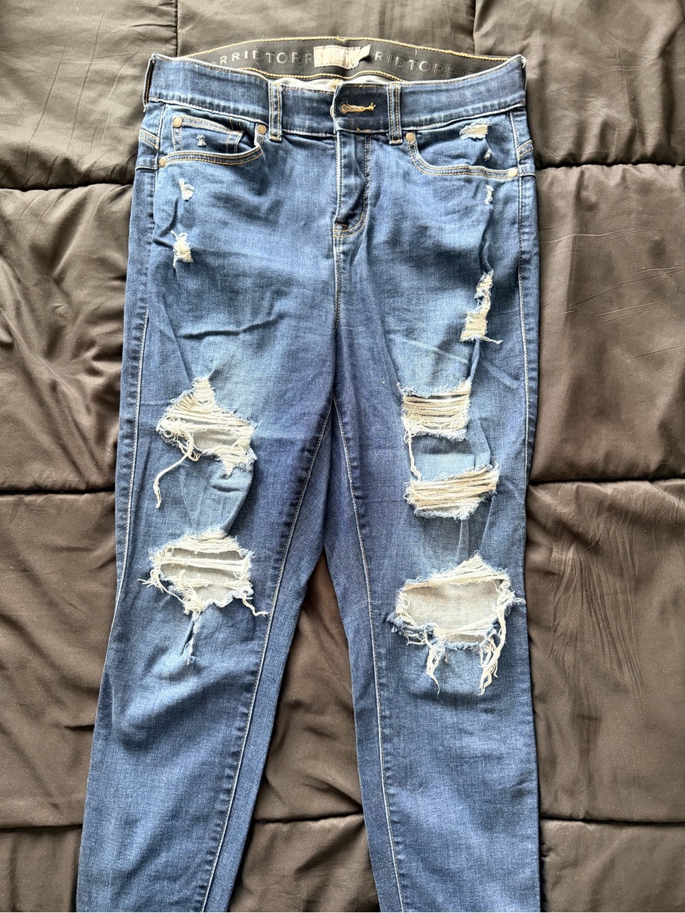 torrid Ripped Skinny Jeans in Blue